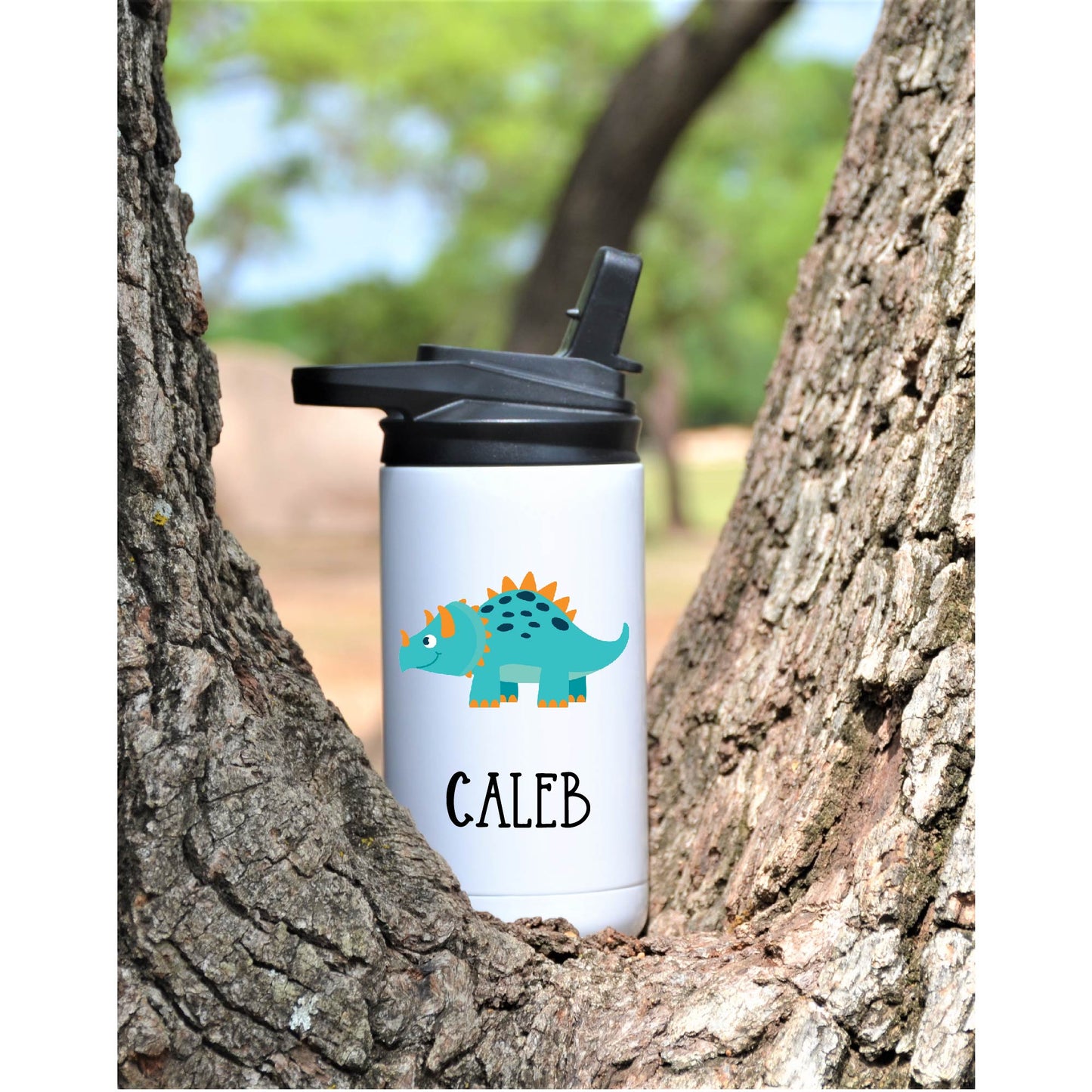 12 oz Personalized Dinosaur Water Bottle